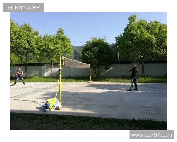 武汉羽毛球队的崛起之路与背后不为人知的训练秘密探讨