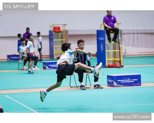 南京羽毛球队个人能力分析与发展探讨聚焦运动员成长与训练策略 南京羽毛球队个人能力分析与发展探讨聚焦运动员成长与训练策略