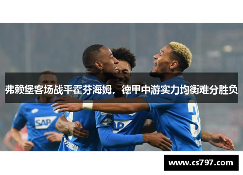 弗赖堡客场战平霍芬海姆，德甲中游实力均衡难分胜负