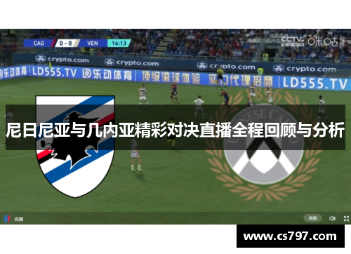 尼日尼亚与几内亚精彩对决直播全程回顾与分析