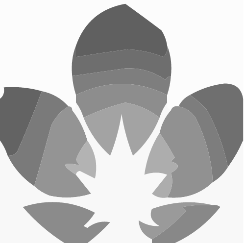 Abstract Partner